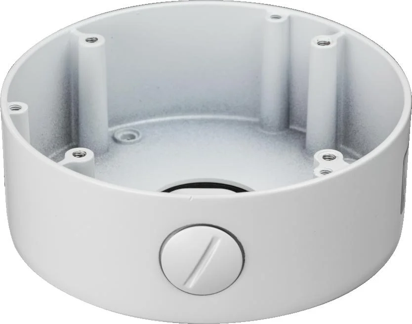 Najważniejsze cechy