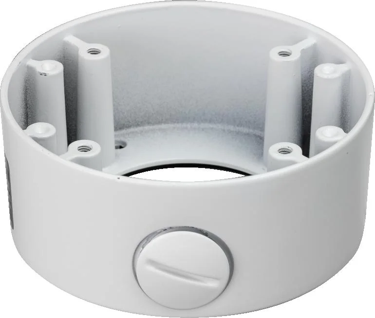 Najważniejsze cechy