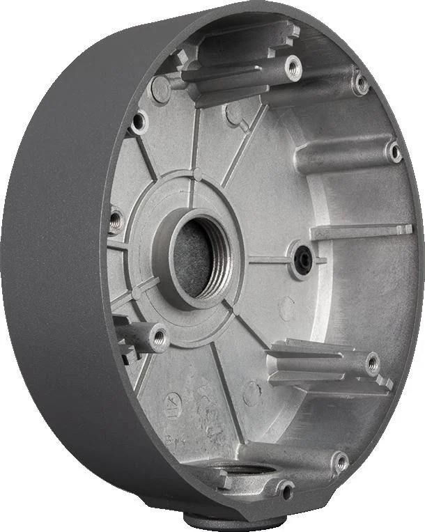 Najważniejsze cechy