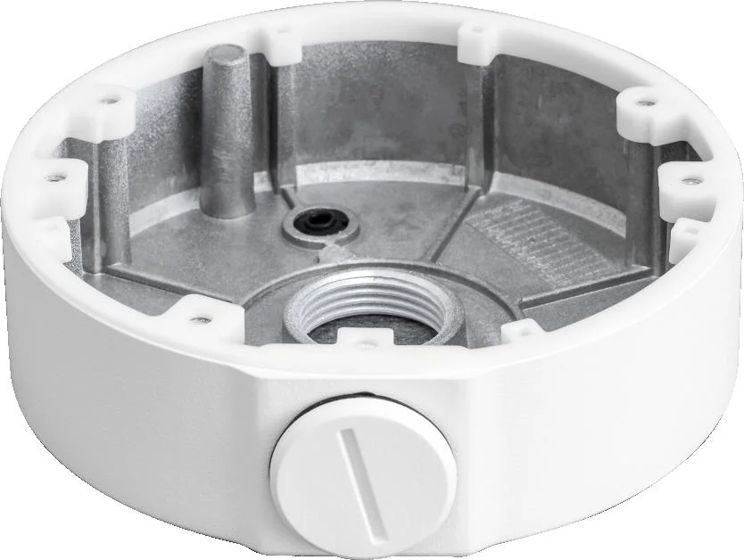 Najważniejsze cechy