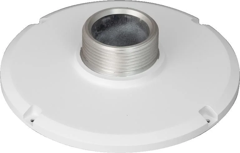 Najważniejsze cechy