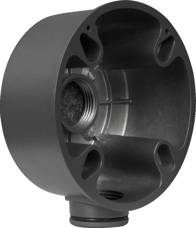 Najważniejsze cechy