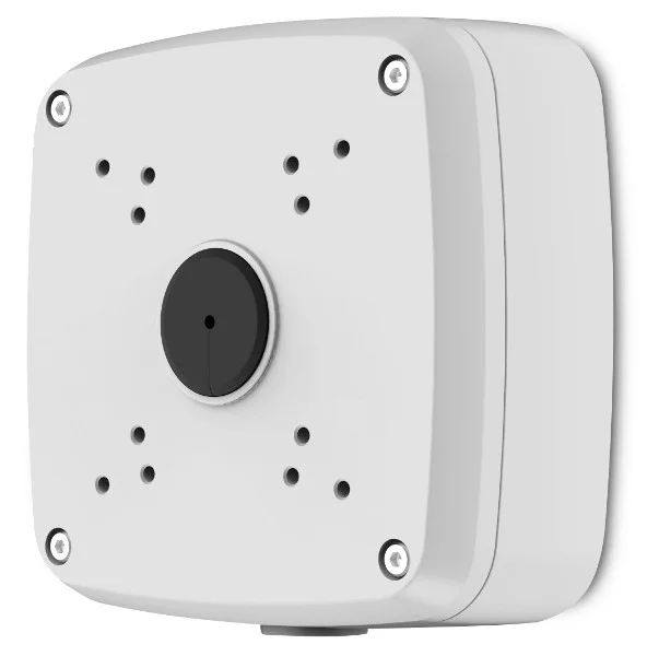 Najważniejsze cechy