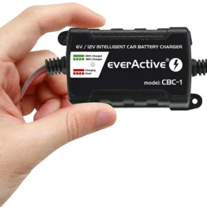 adowarka prostownik do akumulatorow 6v12v everactive 14v1a c a47cf594d7b944e08acb70022ef774d4