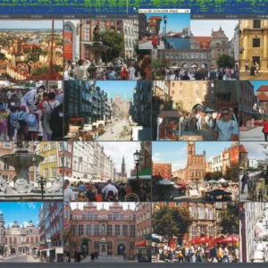 alnet netstation licencja na 1 kana wideo do ns 4 a9bfbb0e7ae3478f8de2d5535b083874