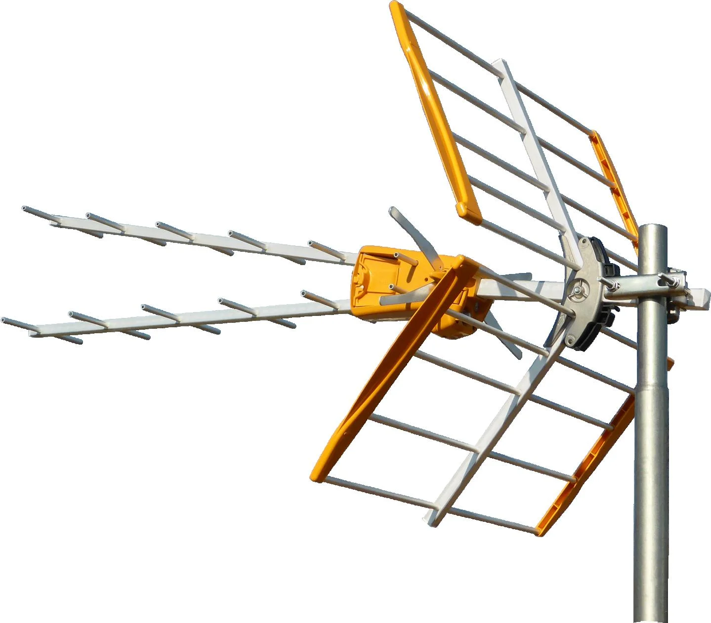 Najważniejsze cechy