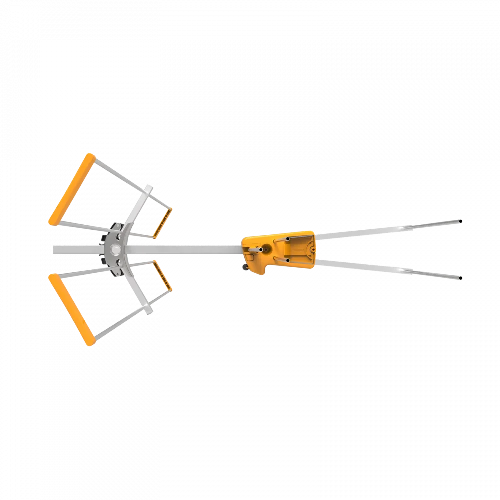 Cechy wyróżniające: