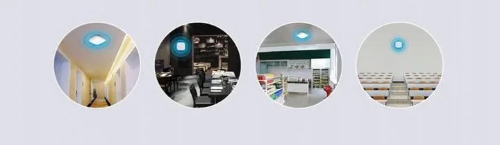 Jedna sieć dla dużej ilości użytkowników