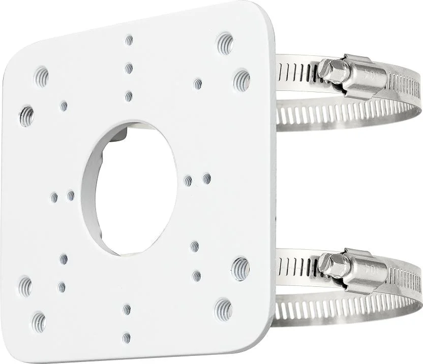 Najważniejsze cechy