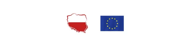 Bezprzewodowy włącznik dwupolowy czarny WS-02 Tech Sterowniki