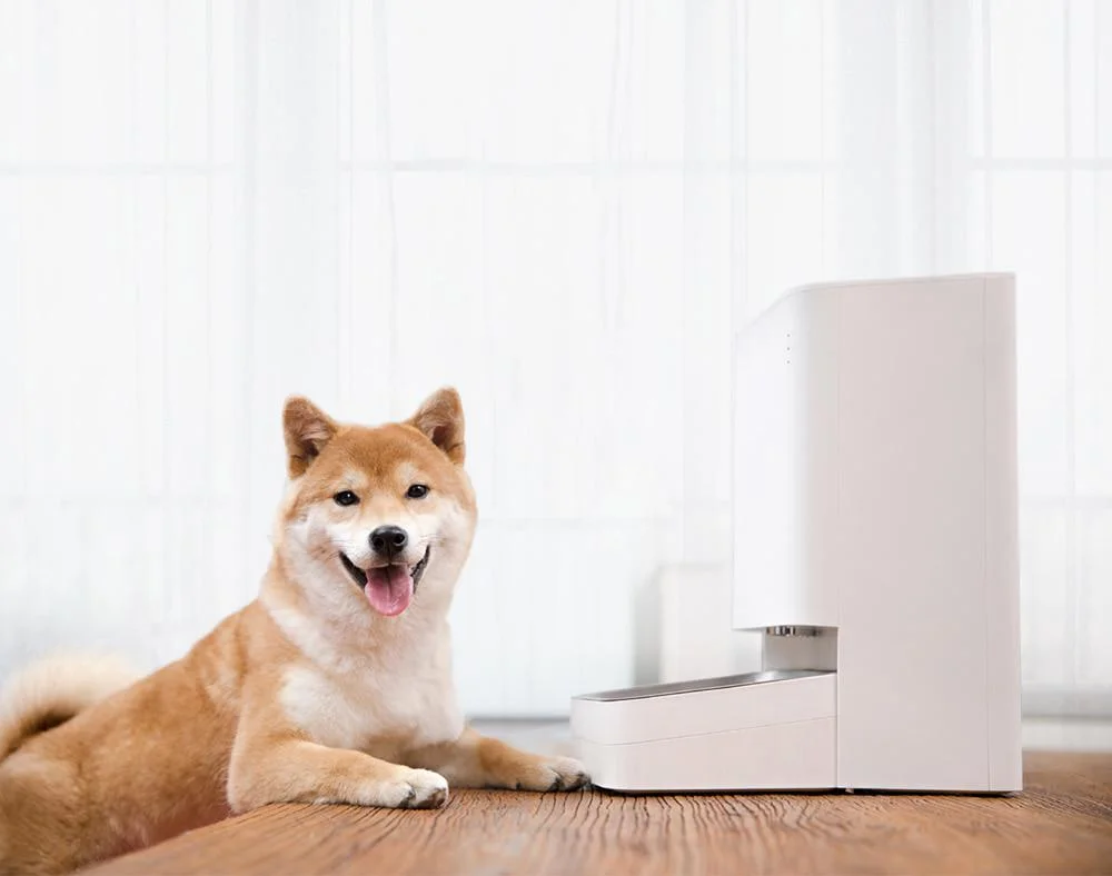 Podajnik karmy Xiaomi Smart Pet Food Feeder