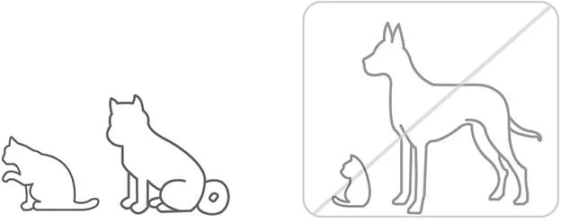 Xiaomi Smart Pet Food Feeder EU - zapewnij regularne posiłki dla pupila podczas Twojej nieobecności