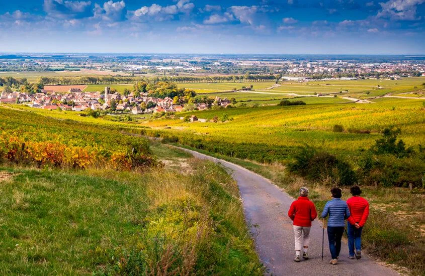 ODDYCHAJ TYLKO CZYSTYM POWIETRZEM: