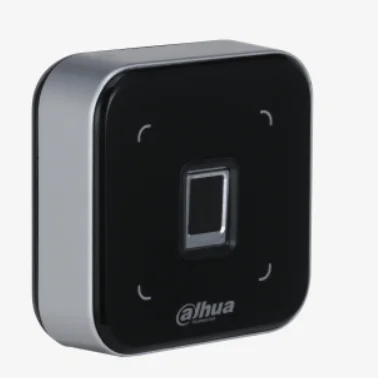 Najważniejsze cechy