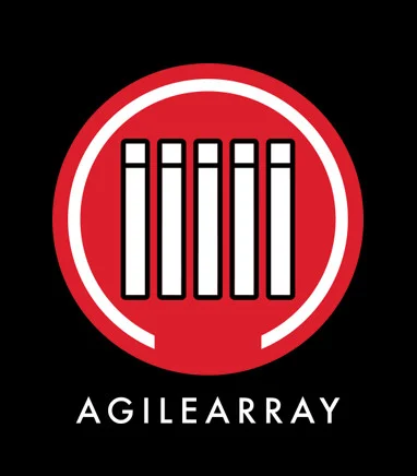 IronWolf + moc AgileArray