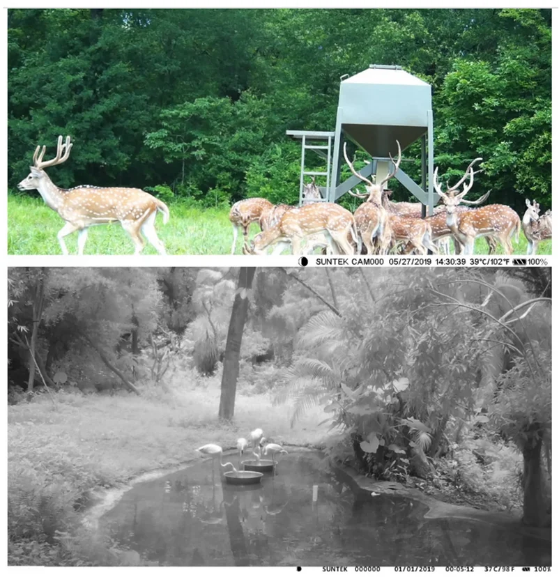 Fotopułapka HC801A 940NM z kartą pamięci o pojemności 32GB - korzystaj z niej, jak z alarmu z kamerą!