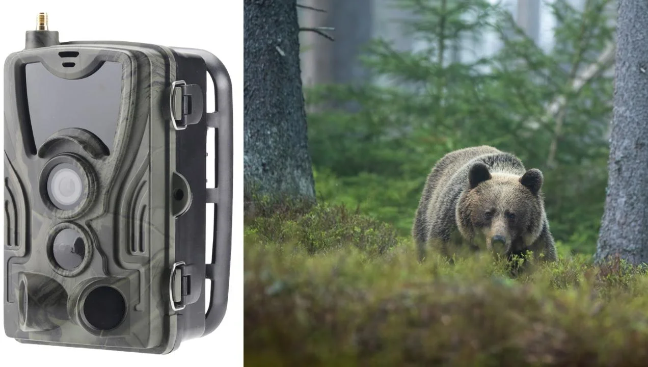 Kamera leśna HC801A 940NM - fotopułapka całkowicie niezauważalna w terenie leśnym i wodoodporna (IP65)