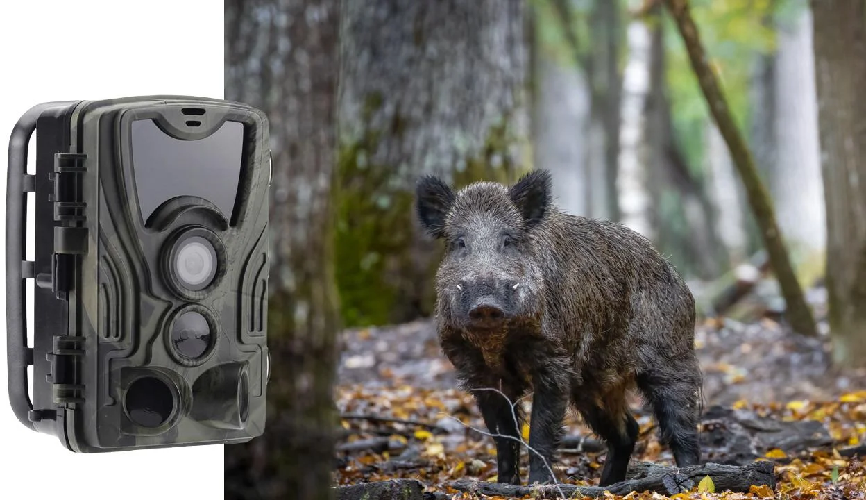 FOTOPUŁAPKA HC801A 940NM + KARTA PAMIĘCI microSD GOODRAM CL10 32GB