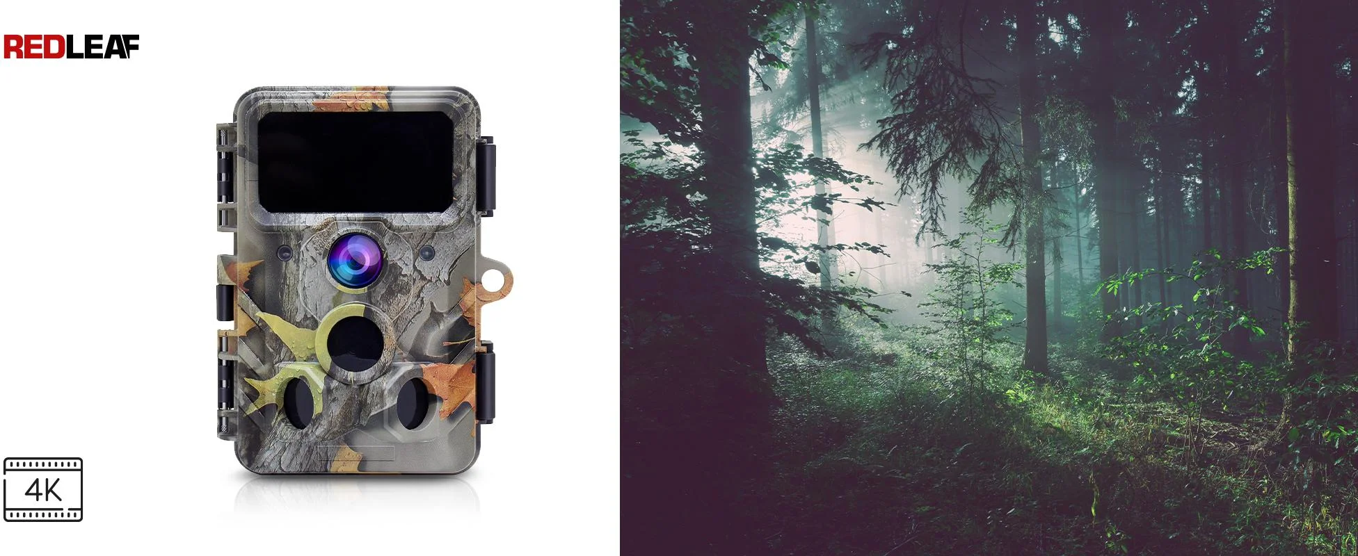 Piękno natury w jakości 4K