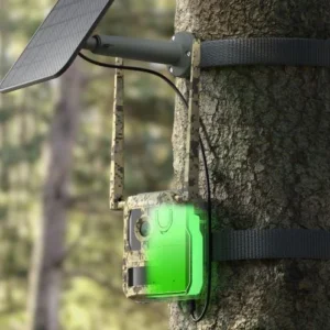 fotopuapka reolink camovue 8mp lte talon series t130 d35f176534ac4ad5996f8635d9120f2d