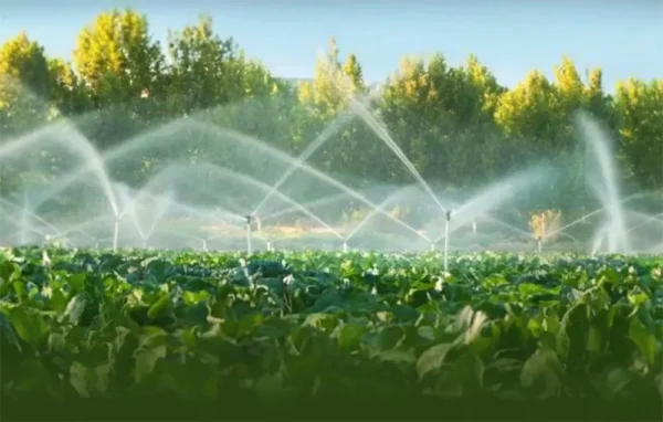 inteligentny zaworlicznik wody zigbee sonoff swv bsp 34 15ddf563bef846b8ab5468ff935d7701