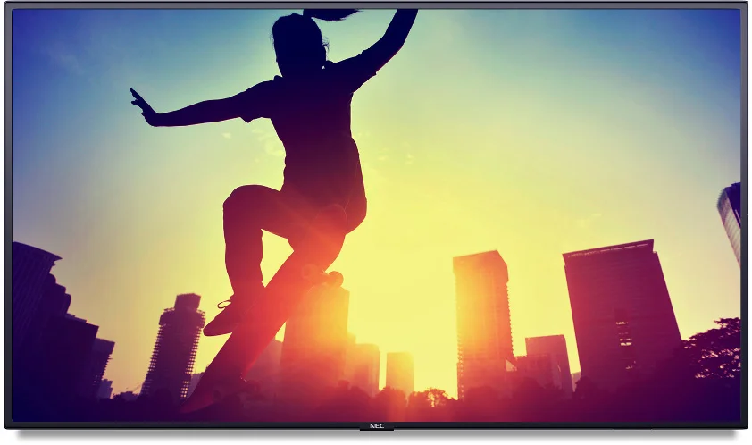 Najważniejsze cechy