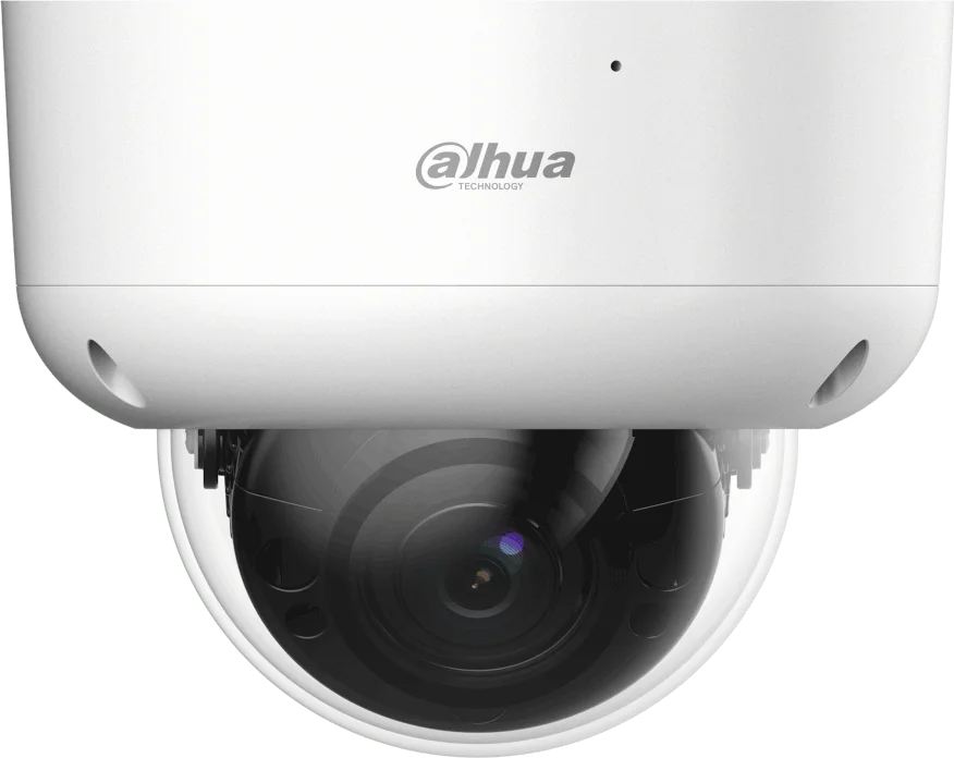 Najważniejsze cechy