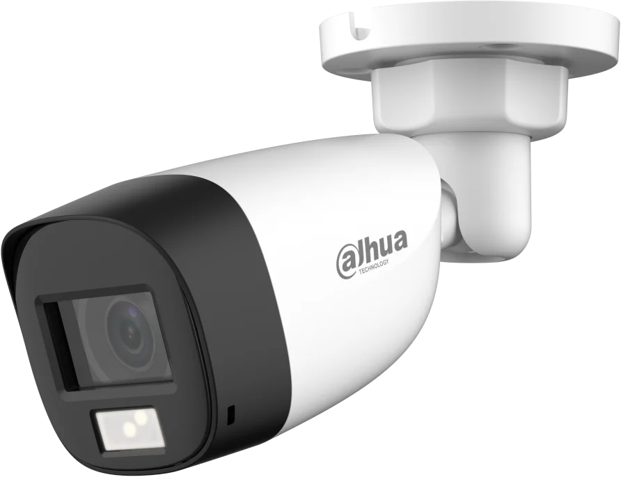 Najważniejsze cechy