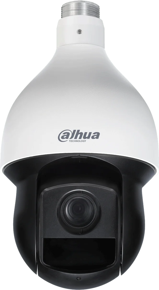 Najważniejsze cechy