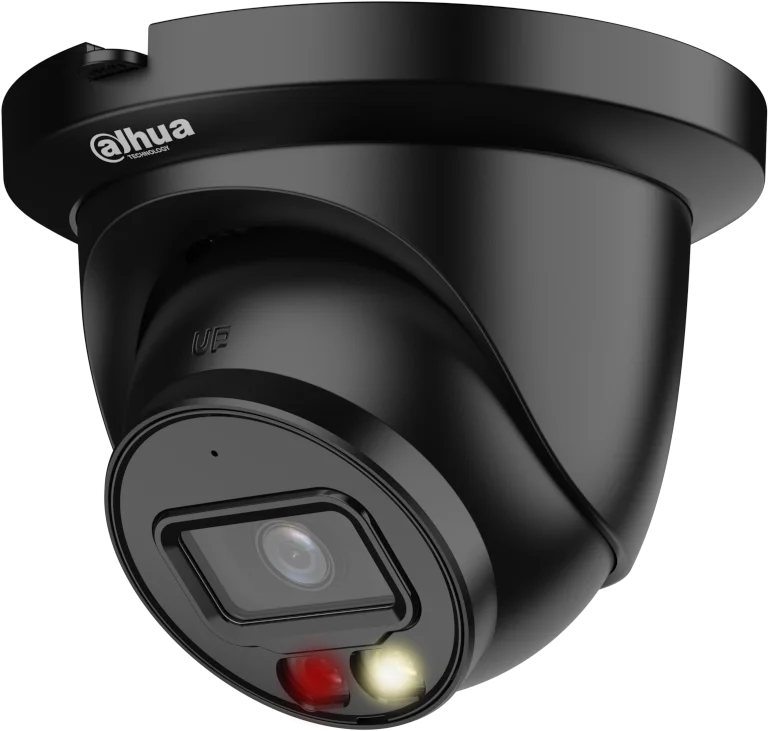 Najważniejsze cechy