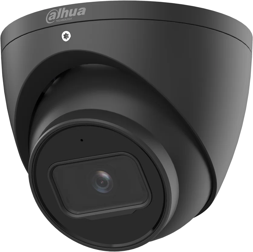 Najważniejsze cechy