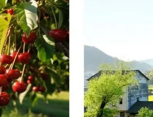 kamera ip dahua ipc hfw2441dg 4g sp b 0360b 3994e695cbd44ea299451d914f21382a