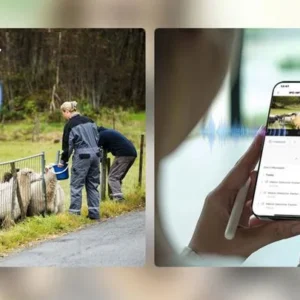 kamera ip dahua ipc hfw2441dg 4g sp b 0360b 5180fa5f6b04435897787811d28f9dee