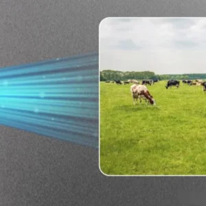 kamera ip dahua ipc hfw2441dg 4g sp b 0360b a836047e7ee54baf810cdc2bcd4503eb