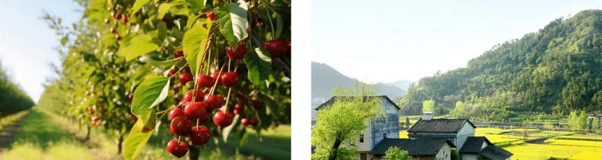 Kamera IP Dahua IPC-HFW2441DG-4G-SP-B-0360B