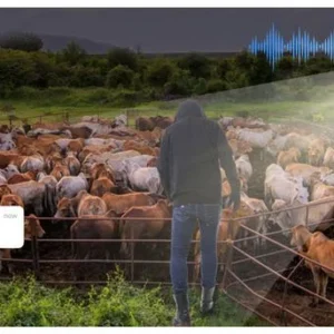 kamera ip dahua ipc hfw2441dg 4g sp b 0360b d502e5afa2254e0fb83432e63ee6392b