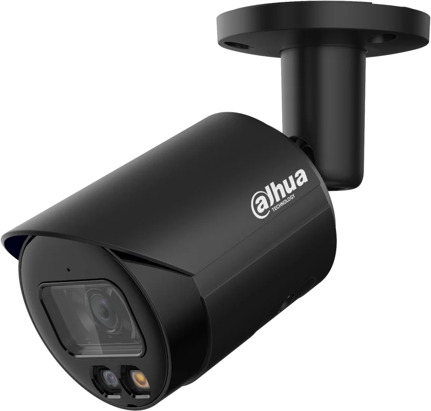 Najważniejsze cechy