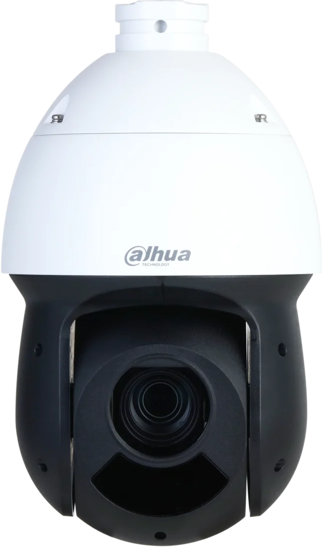 Najważniejsze cechy