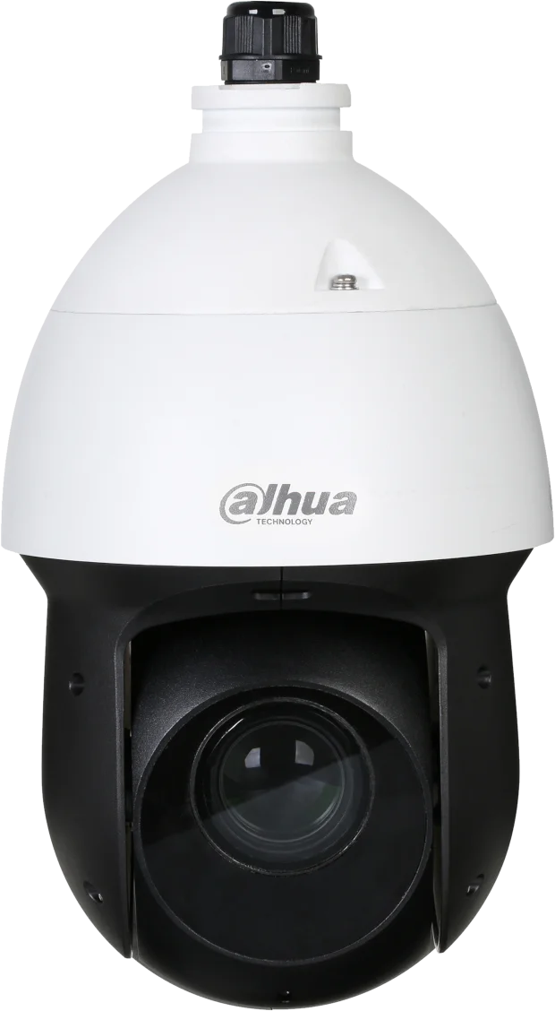 Najważniejsze cechy