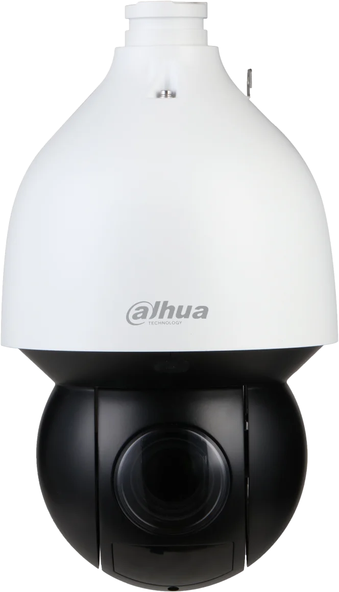 Najważniejsze cechy