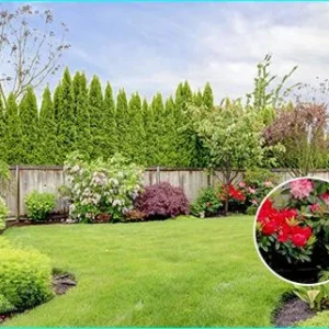 kamera ip ezviz h5 poe 2k 3mpx 8ea78db7b67a408ebb4a9927c2a93e0b