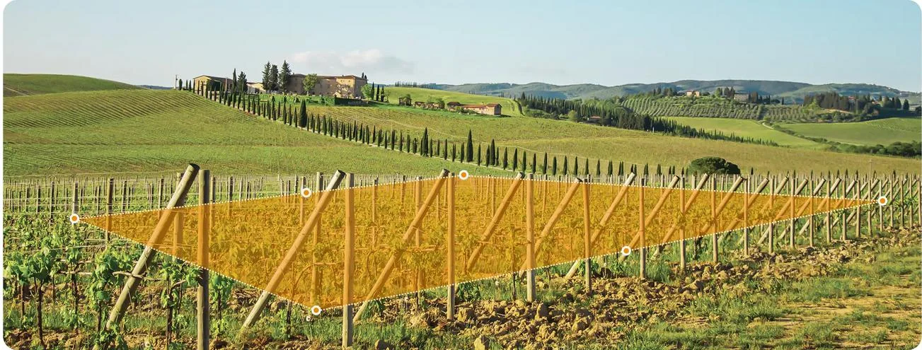 Zyskaj łatwiejsze bezpieczeństwo z IMOU Life