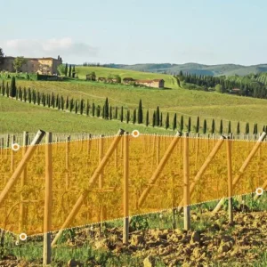 kamera ip imou aov pt kit 24ghz wi fi i 4g 5mpx z panelem so a00ba71054574163830ab2aa9f6a6249