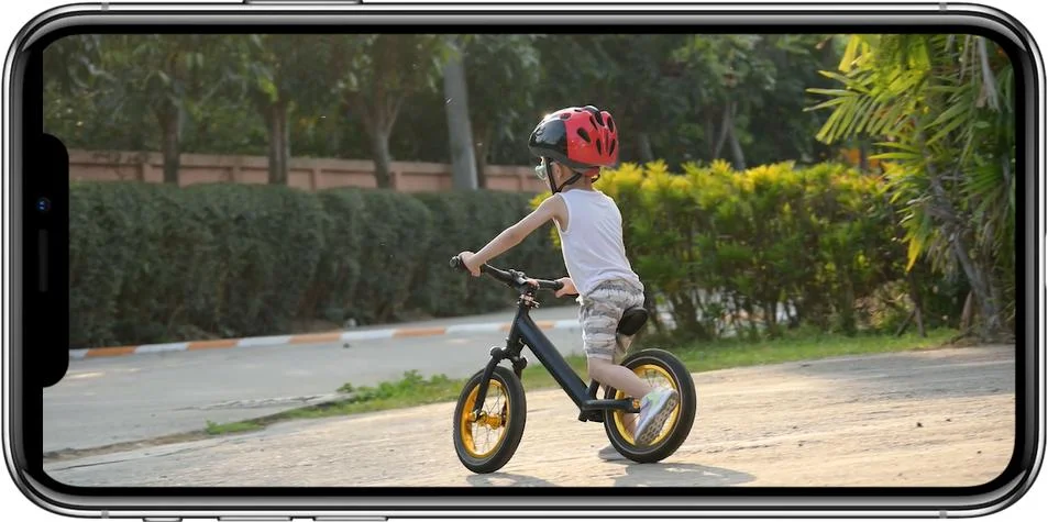 Panoramiczny obrót i pochylenie dla ochrony 360°