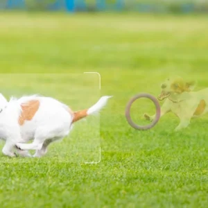 kamera ip imou cruiser sc 4g 5mp e5cbb9a38e184d84b9f86097078690c5