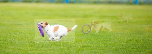 kamera ip imou cruiser sc 4g 5mp e5cbb9a38e184d84b9f86097078690c5