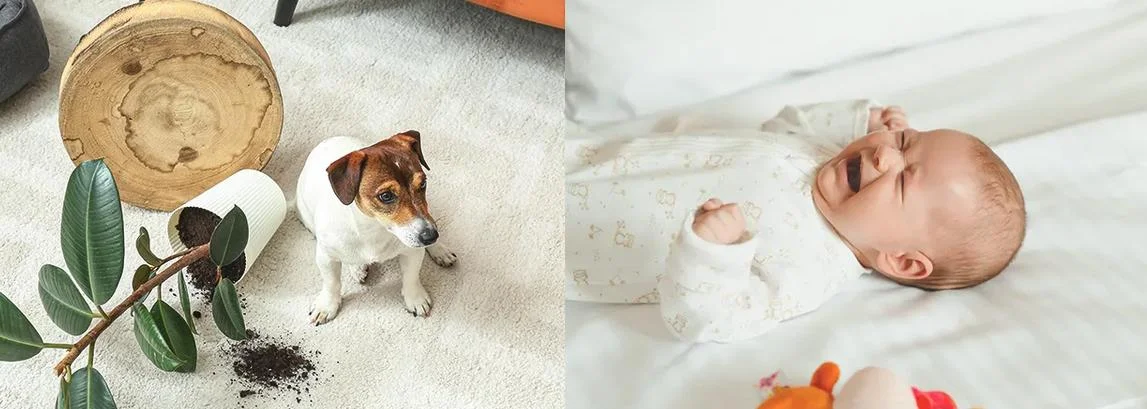 Imou Ranger Dual 5MPx PTZ + 5MPx IPC-S2XP-10M0WED - otrzymuj powiadomienia o nietypowych, potencjalnie niepokojących dźwiękach, żeby jeszcze lepiej dbać o swoje "Skarby"