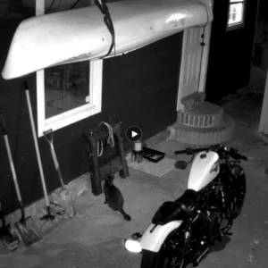 kamera ip reolink argus series b320 bateryjna 3mp wi fi e04ad1980bfd4e5dbecb04acff418b9b