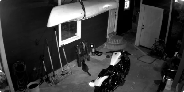 kamera ip reolink argus series b320 bateryjna 3mp wi fi e04ad1980bfd4e5dbecb04acff418b9b