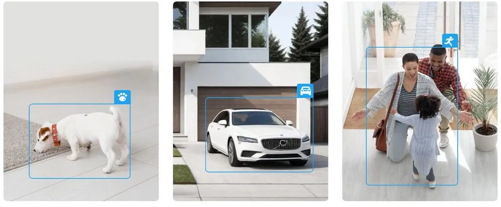 Skuteczna ochrona – odstrasza intruzów